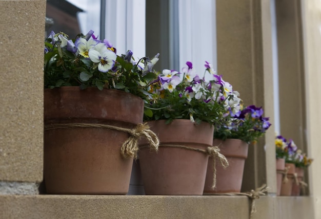 Donice na tarasie aranżacje, które oczarują Twój balkon